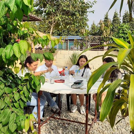 Hotel Tiger Tops Sauraha Eksteriør billede