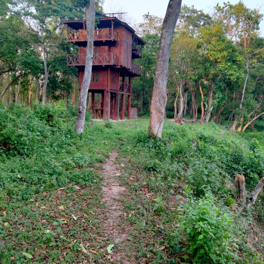 Hotel Tiger Tops Sauraha Eksteriør billede