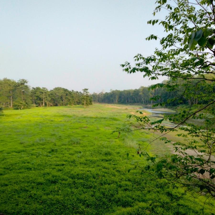 Hotel Tiger Tops Sauraha Eksteriør billede
