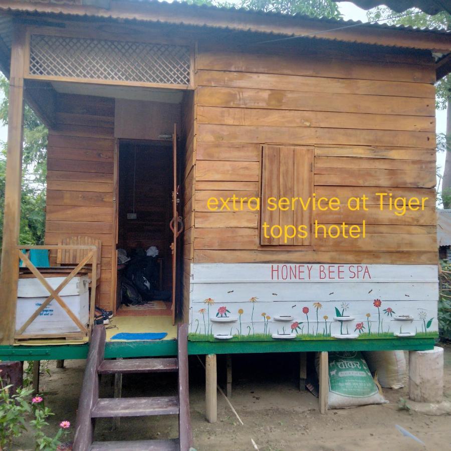Hotel Tiger Tops Sauraha Eksteriør billede