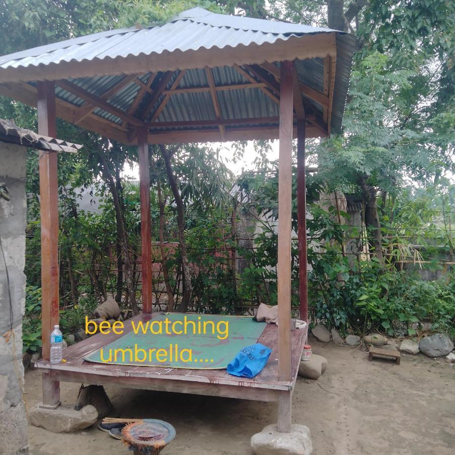 Hotel Tiger Tops Sauraha Eksteriør billede