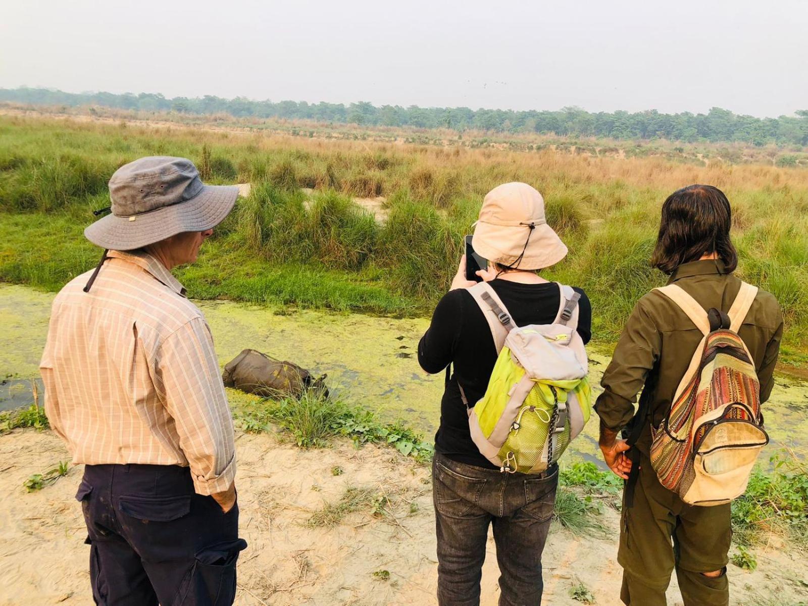 Hotel Tiger Tops Sauraha Eksteriør billede