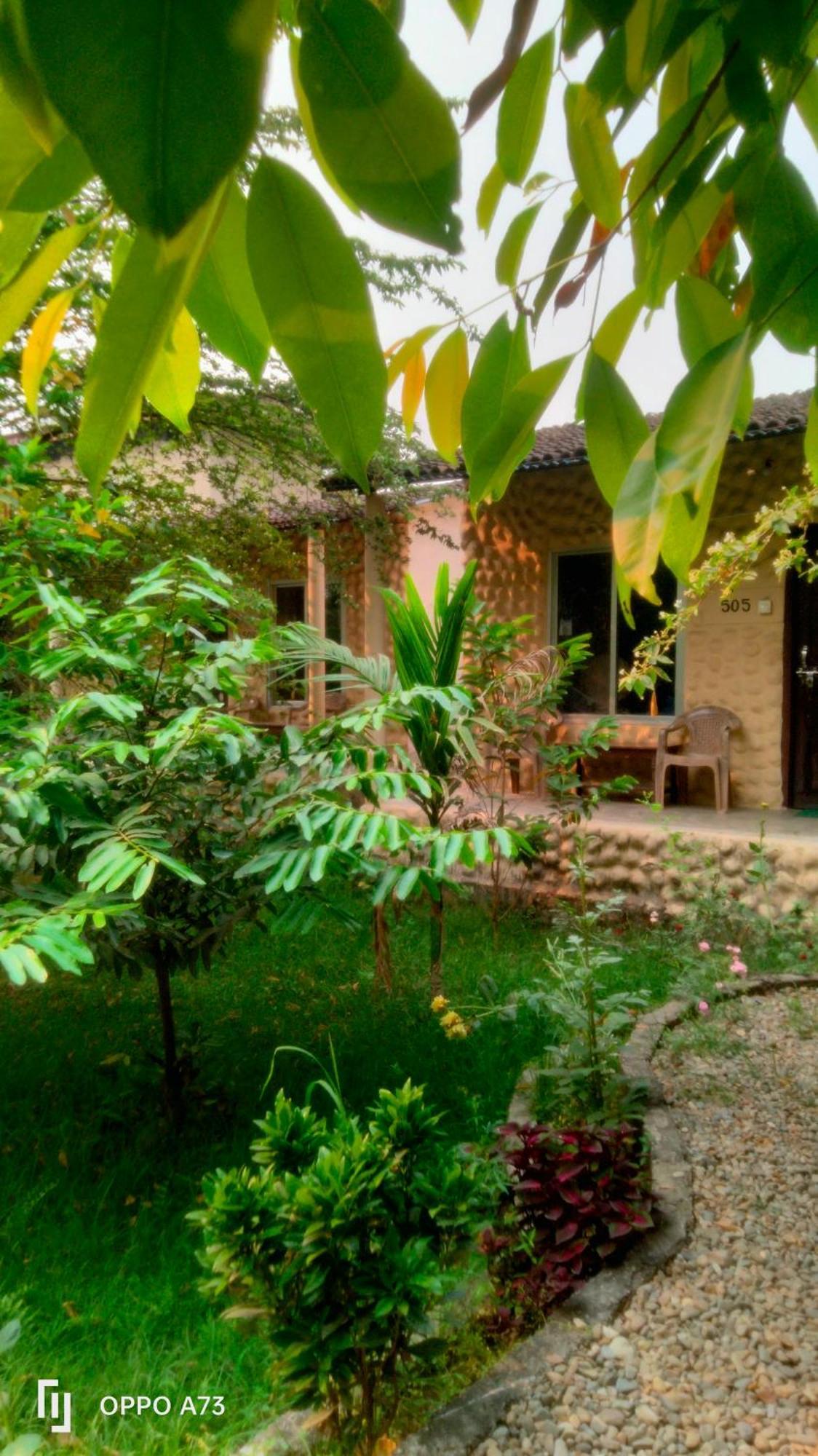 Hotel Tiger Tops Sauraha Værelse billede